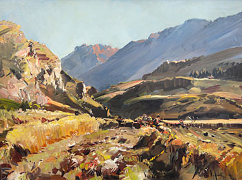 Central Otago Landscape