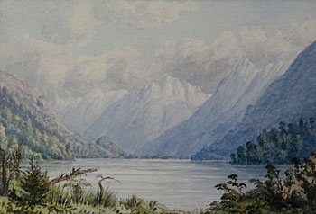 The Dart River, Province of Otago