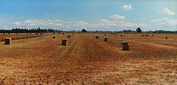 Fields after Harvest