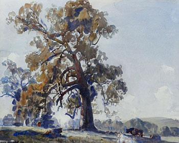 The Red Gum Morning