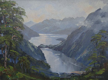 Doubtful Sound from Wilmot Pass Road