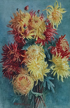 Dahlia Flowers