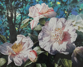 Camellia Potpourri