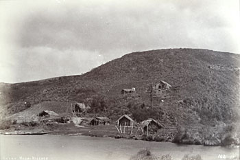 Ariki, Rotomahana 1885