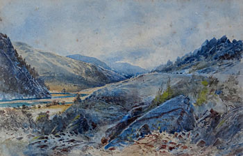 On the Upper Taieri