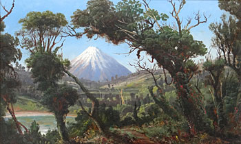 Mt Egmont from the Waterworks