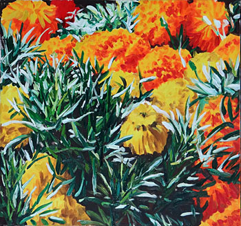 Orange and Yellow Marigolds