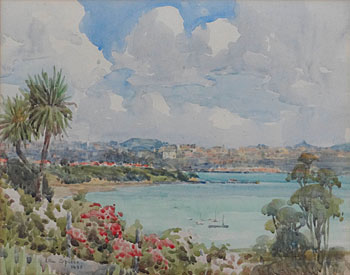 An Auckland View