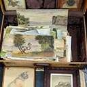 A Collection of the Artist's watercolours - approximately 100. 3 Cat studies by K Airini Vane and an Australian bird Study in w