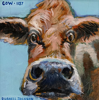 Cow. 1137