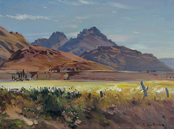 Bayonet and Cecil Peaks, Central Otago