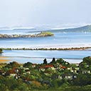 Waitemata Harbour from Mt Hobson