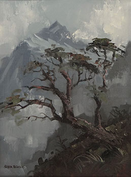 Mountain Beech Tree and Mt Talbot, Upper Hollyford Valley