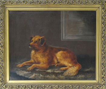 Portrait of a Dog (Louis)