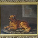 Portrait of a Dog (Louis)