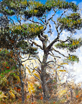 Pines August, Craigavon