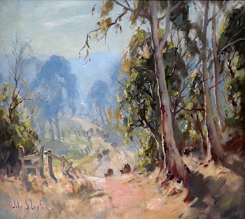 Old Stock Route, North East Victoria