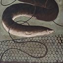 Eels with Trap Lake Hawdon #1
