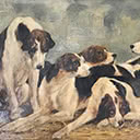 Hunting Hounds