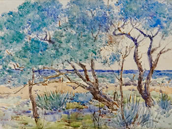 Coastal Scene with Trees