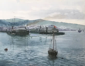 Wellington Harbour, SS Wakatipu