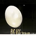 Big Egg - Little Egg (Actual Size)