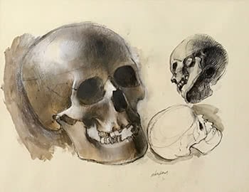 Skulls