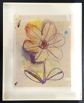 Flower, 1971