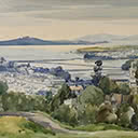 Auckland Harbour from Remuera