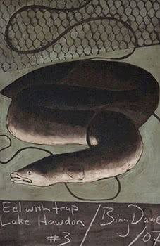 Eels with Trap Lake Hawdon #3
