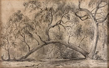 Tirhatuan Forest, Port Phillip, to be sold with another sketch attributed to William Swainson titled, The Workmans Hut