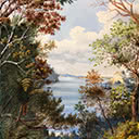 View through the Bush, Matakatia Bay with Kotanui Rock, (Frenchman's Cap), Whangaparaoa Peninsula