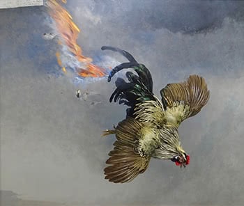 A Terrible Event over the Mallee - (The Rooster that thought it was a Magpie). From The Birds of Black Thursday Part 3