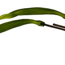 Twisted Flax Pods