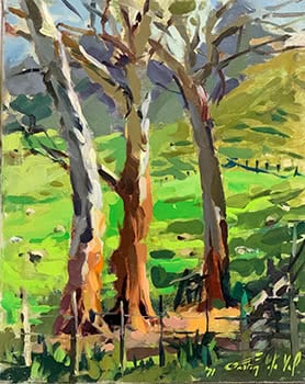 Gum Trees, Napier - Unframed