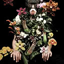 Flower Idol, 2006