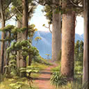 Giant Kauri trees