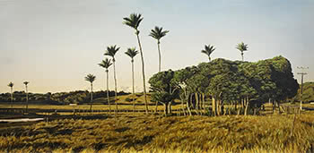 Nikau and Karaka Trees Near Paraparaumu, Wellington, 2000