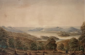 Relative Size: Settlers Overlooking Otago Harbour c. 1864