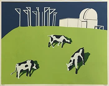 3 Cows on Observatory Hill