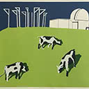3 Cows on Observatory Hill