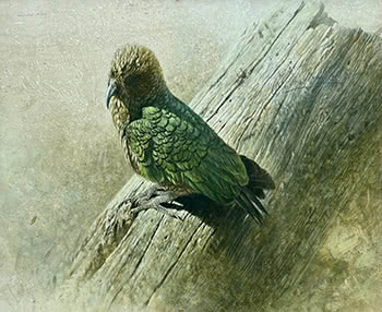 Kea