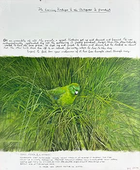 P. 207 The Booming Kakapo & the Parakeet