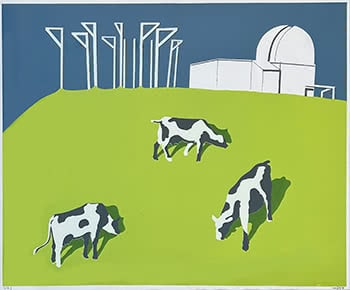 Three Cows on Observatory Hill