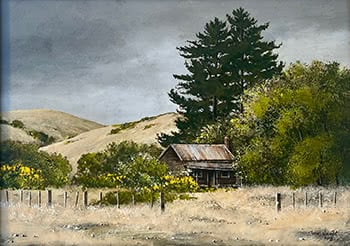 Old Cottage, Mokai, Central North Island