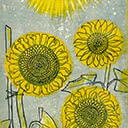 Sunflowers, 1977