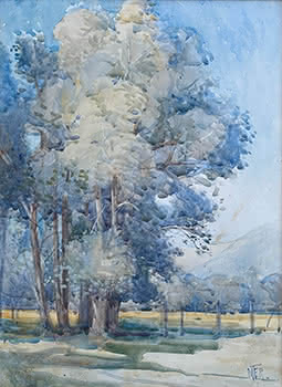 Landscape with trees and fence line