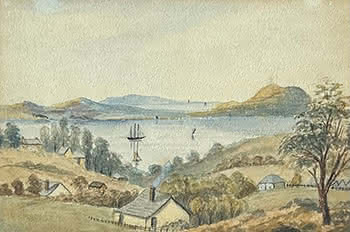 Auckland Harbour from Judges Bay