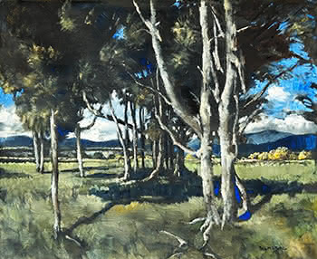 Taupo Landscape