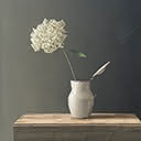 Hydrangea in Enamel Jug